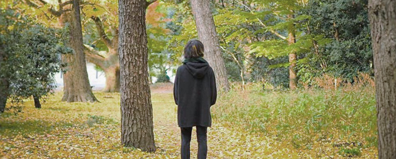 想映クリエイトについて